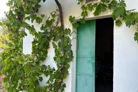 Ruïna a Ostuni, Brindisi, Ostuni - € 43.000 | Ref: Lamia Vite - foto 15